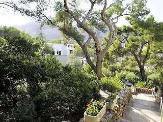 Bed & Breakfast Pinos