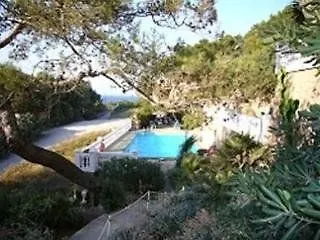Pinos